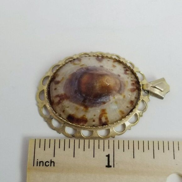 Vintage Shell Oval Pendant, Tan Brooch, Gold Tone Setting, Natural Nature - Picture 4 of 7